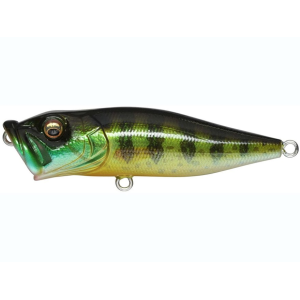 MEGABASS Pop X Topwater Pumpkin Seed