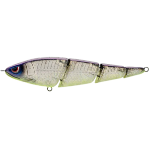 SPRO Sashimmy Swimmer 105 Swimbait Elegy Bone