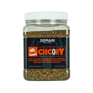 Domain Outdoor Pounder Chicory Food Plot Seed 1 lb - Domain Outdoor