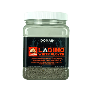 Domain Outdoor Pounder Ladino White Clover Food Plot Seed 1 lb - Domain Outdoor