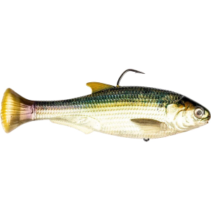 Z-Man Shadtron LT Slow Sink 6" Swimbait Blueback Herring - Z-Man