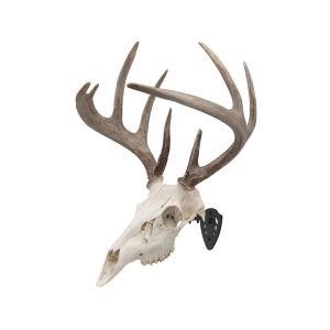 Allen EZ Mount Skull Hanger European Mount Display Black - Allen