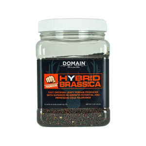 Domain Outdoor Pounder Hybrid Brassica Food Plot Seed 1 lb - Domain Outdoor