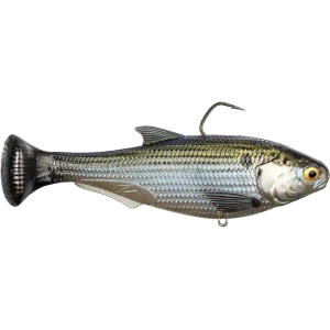 Z-Man Shadtron LT Fast Sink 4.5" Swimbait Mossback - Z-Man