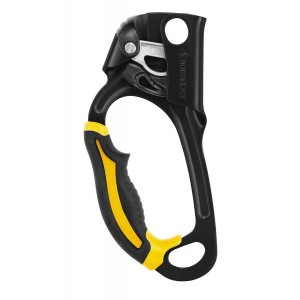 Petzl Petzl Ascension Ascender