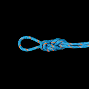 Mammut Mammut Alpine Sender 8.7mm Dry Rope