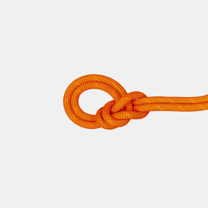 Mammut Mammut 9.8mm Crag Dry Rope Safety Orange 70M