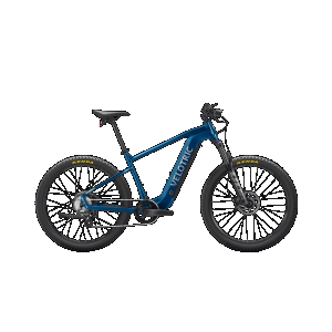 Velotric Velotric Summit 1 eMTB Ebike