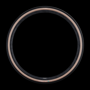 Schwalbe Schwalbe G-One RS Tire - 700 x 40, Tubeless, Folding, Black/Transparent, Evolution Line, Pro, Addix Race