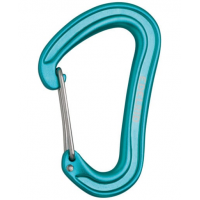 Edelrid Edelrid Nineteen G Wiregate Carabiner Icemint