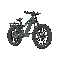 QuietKat Apex 750W e-Bike