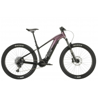 Aventon Ramblas eMTB Ebike