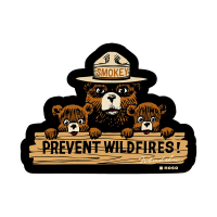 Noso Patches NoSo Patches Smokey Bear Prevent Wildfires