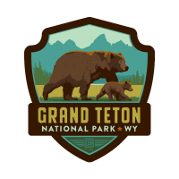 Noso Patches NoSo Patches Grand Teton Bear 2.24X2.5 By Anderson