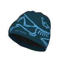 Arc'teryx Arcteryx Bird Head Toque