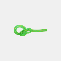 Mammut Mammut 9.5 Crag Eco Dry Climbing Rope Green/Ocean 70M