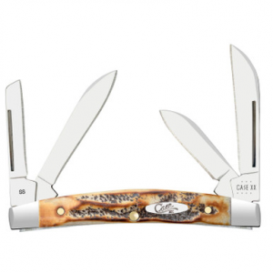 Case XX Small Congress 6.5 BoneStag 65337 Stainless Pocket Knife