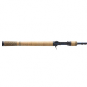 Fenwick Eagle Casting Rods