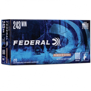 eral 243B PowerShok 243 100 GR JSP 20 Rounds Ammo