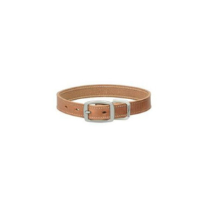 Straight Collar Leather - Russett, 1" x 23"