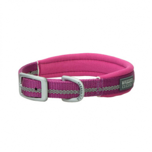 Terrain D.O.G. Reflective Neoprene Lined Collar Purple 1" X 25"