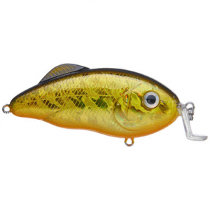 Strike King Hybrid Hunter Jr. Crankbait Gold/Black Back