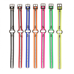 Dayglo Collar with O-Ring