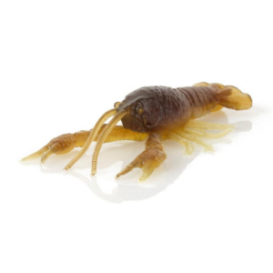 Savage Gear Toughtec NED Craw Mudbug 2.5"