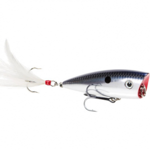 Strike King HC KVD Splash Poppers