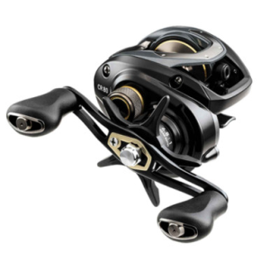 Daiwa CR 80 Casting Reel