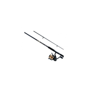 Daiwa D-Wave Saltwater Combo