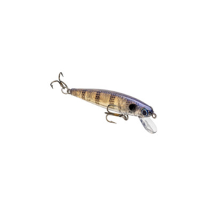Strike King Bitsy Jerkbait