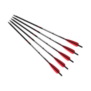 Barnett Barnett Headhunter 22" Carbon Crossbow Arrows 5-Pack - $59.99 at Sportsman Fulfillment