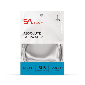 Scientific Anglers Absolute Saltwater Leader 10' - 1 Pack - Clear - 10lb
