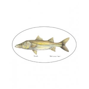 Pescador On The Fly Snook Decal - Snook - One Size