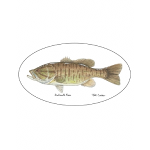 Pescador On The Fly Smallmouth Decal - Southmouth - One Size