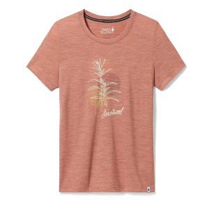 Smartwool Sage Plant Graphic Short Sleeve Tee - Women's - Copper Heather - XS