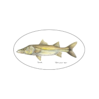 Pescador On The Fly Snook Decal - Snook - One Size