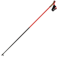 Rossignol Force 7 Pole - One Color - 170