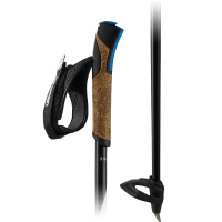 Salomon R60 Click Pole - One Color - 180
