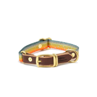 Whiskey Leatherworks Webbing Fish Print Dog Collar - Brook Trout - S