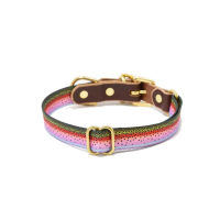 Whiskey Leatherworks Webbing Fish Print Dog Collar - Rainbow Trout - S