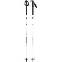 Atomic BCT Mountaineering SQS Pole - Silver - One Size