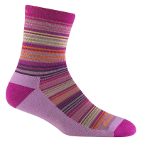 Darn Tough Zebra Canyon Micro Crew Sock - Kids' - Clover - S