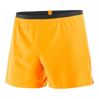 Salomon Cross 5'' Shorts - Men's - Citronelle - L