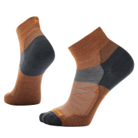 Smartwool Bike Zero Cushion Ankle Sock - Men's - Acorn - XL