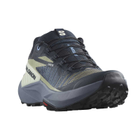 Salomon Genesis Trail Running Shoe - Women's - Carbon Grisaille Aloewa - 8.5