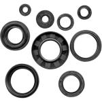 QuadBoss Oil Seal Kit