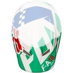 Fox Racing 2018 Youth V1 Helmet Visor - Sayak