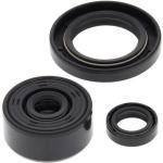 Vertex Oil Seal Kit